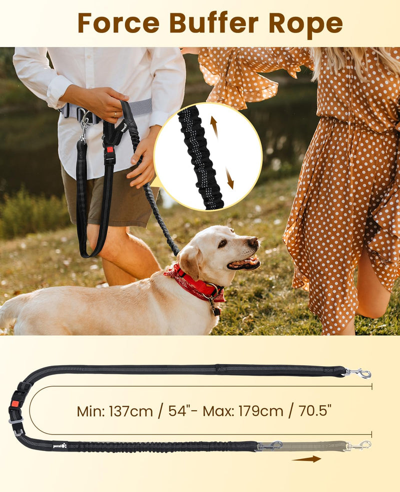 Pecute Dog Leash Hands Free with Pouch, Waist Belt Fanny Pack with Soft Pads, Dual Padded Handles and Shock Absorbing Bungee for Walking, Hiking, Training, Running 1 dog grey