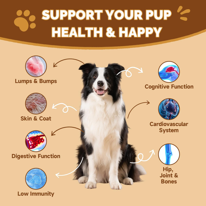 Mushrooms for Dogs - Turkey Tail Mushroom for Dogs - Gut, Skin, Joint, Immune Health- Dog Lumps & Bumps - 13 Organic Mushrooms Turkey Tail, Reishi, Lions Mane, Glucosamine, MSM - Chicken Flavor 1 Pack