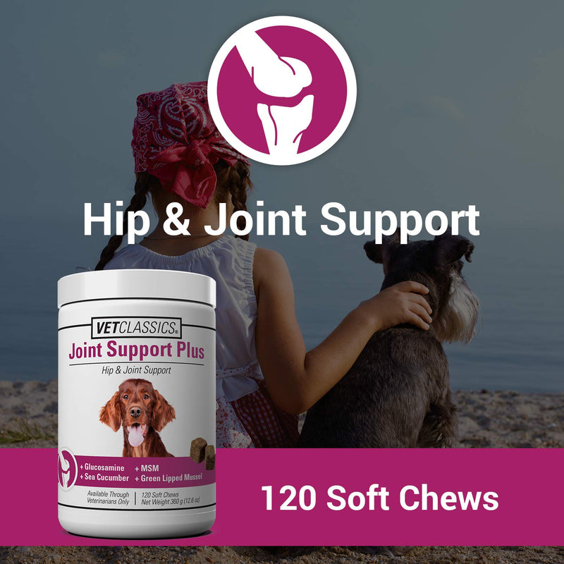 Vet Classics Joint Support Plus Dog Supplement - Hip Health Supplement for Dogs – Alleviates Aches and Discomfort - For Flexibility, Healthy Joint Function in Canines – Antioxidants – 120 Soft Chews - BeesActive Australia