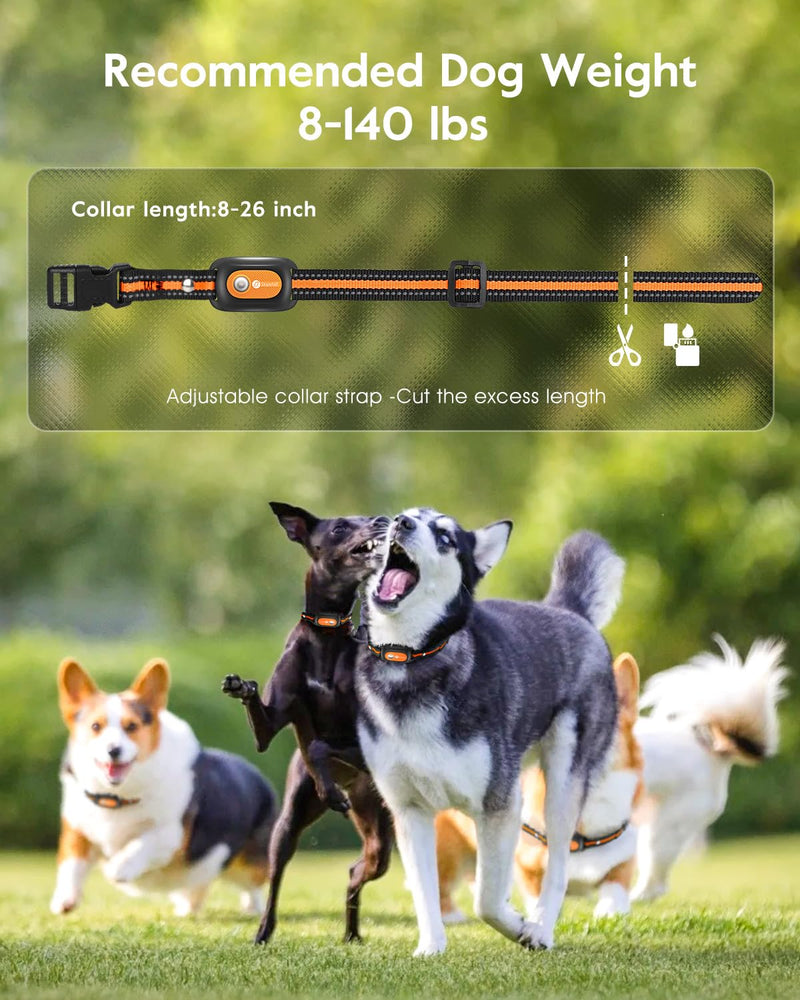 Dog Shock Collar,3300FT Dog Training Collar with Remote,IPX8 Waterproof E-Collar with Beep,Vibration,Shock,Light,Shock Lock Mode,Electric Shock Collar for Small Medium Large Dogs,Orange Orange - BeesActive Australia