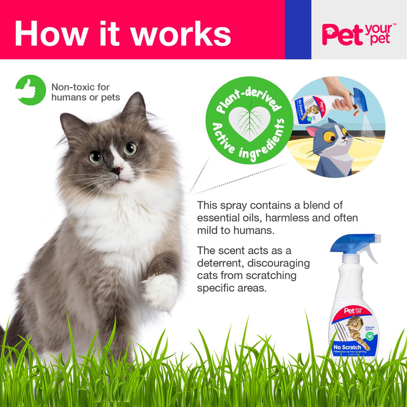 No Scratch Cat Deterrent Spray, 16 Fl Oz– Non-Toxic Cat Scratch Spray for Carpets and Furniture – Natural Cat Scratch Deterrent Spray – Indoor/Outdoor Anti-Scratch Keep Off Cat Spray - BeesActive Australia