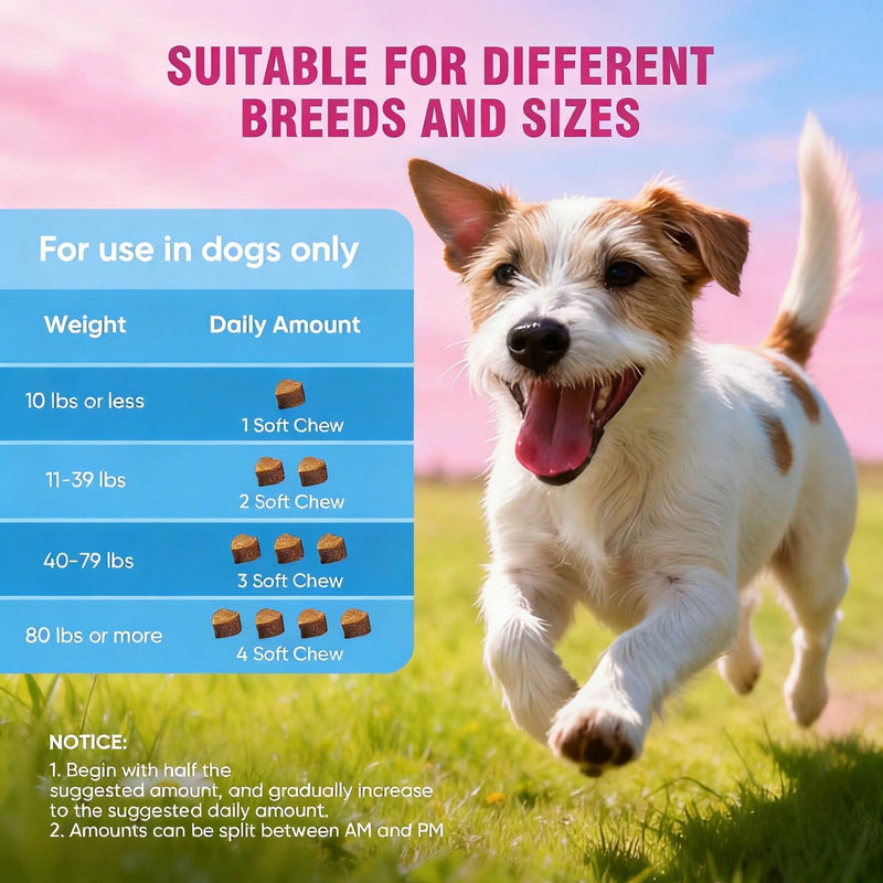Dog Allergy & Skin Support Chews – Helps Maintain Healthy Skin and Coat, 200 PCS