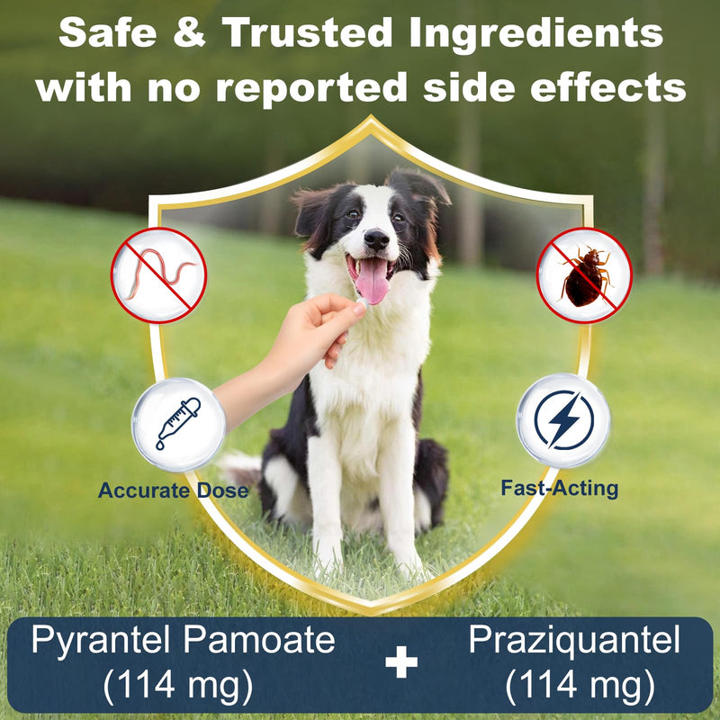 7-Way Dewormer for Dogs, Wormer for Tapeworms, Roundworms & Hookworms in Medium Dogs & Puppies (Over 25 lbs), with Praziquantel & Pyrantel Pamoate, 30 Tablets