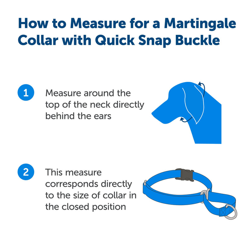 PetSafe Martingale Dog Collar with Quick-Snap Buckle - Medium, 1 Inch, Red MEDIUM (NYLON WIDTH 1") - BeesActive Australia