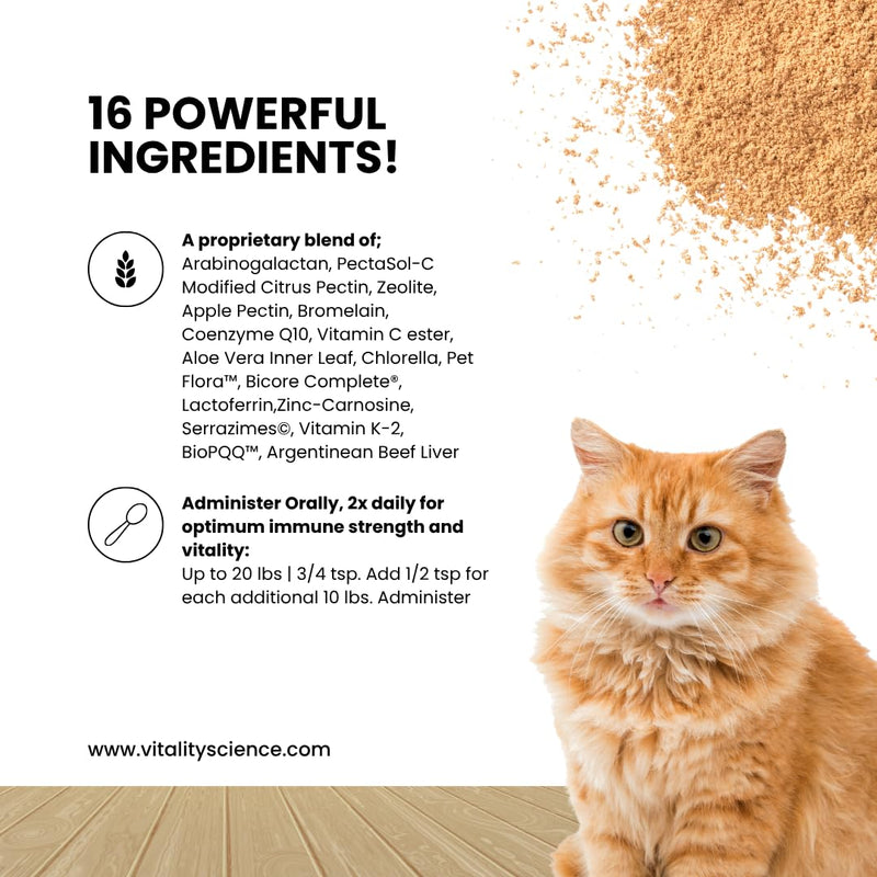 Vitality Science Celloquent for Cats | Enhanced Immune Support Formula | Maintains Proper Gut pH | Boosts Organ Function | Aids Cleansing and Healthy Inflammatory Response 60g