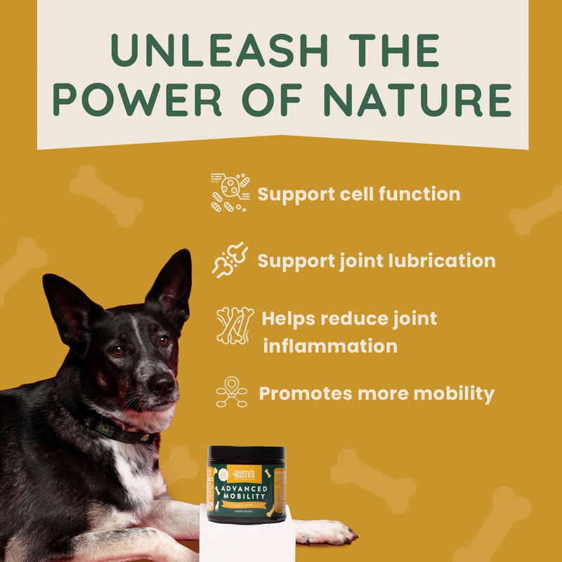 Rusty's Pet Essentials Premium Hip & Joint Dog Supplement (170 Chews) - Advanced Mobility - Formulated with Chondroitin - Calcium - Glucosamine - Turmeric & MSM for Joint Health - Made in The USA - PawsPlanet Australia