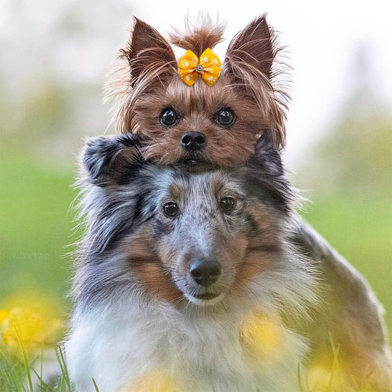 PET SHOW 50Pcs/25Pairs Paw Pattern Small Dog Hair Bows Bulk with Rubber Bands for Medium Dogs Cats Puppy Shih tzu Rhinestone Bowknot Topknot Yorkies Rabbits Girl Boy Pet Grooming Hair Accessories 50PCS with rubber bands - BeesActive Australia