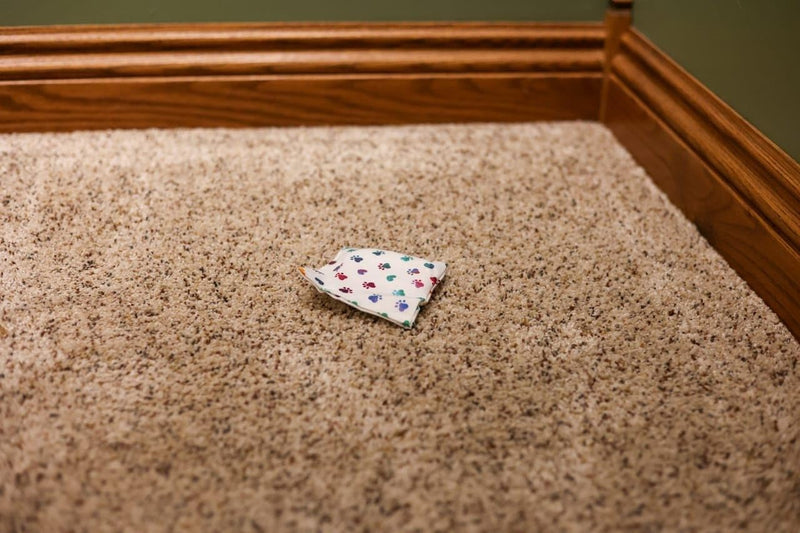 Dog Marking Prevention - Indoor -Permanent - Effective Solution -Stops Dogs from Marking or Peeing - eliminates a Dog's urge to Mark. Put Bag Down and Your Problem is Solved! (Blue (White Paws) - PawsPlanet Australia
