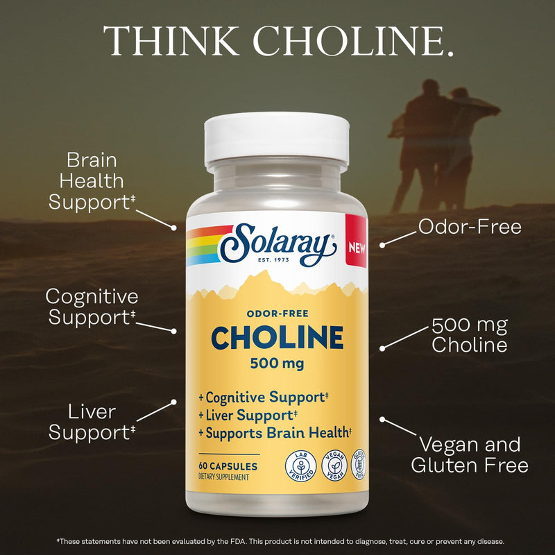 SOLARAY Choline 500 mg – Cognitive, Brain Health and Liver Support Supplement – Powerful Brain Supplement & Choline Source for Adults – Odor-Free, Vegan Liquid VegCaps – 60 Servings, 60 Capsules