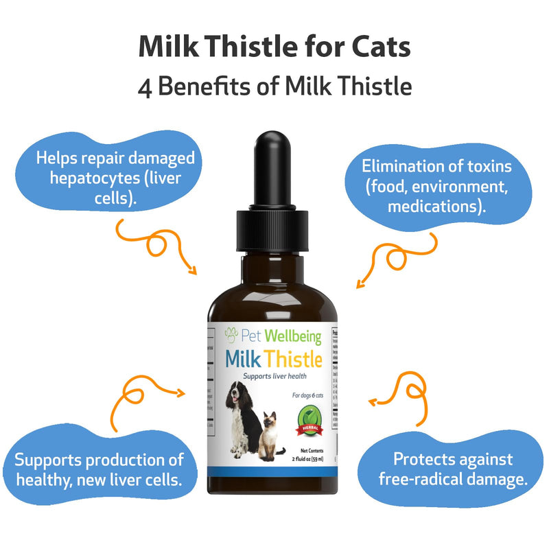 Pet Wellbeing Milk Thistle for Cats - Supports Liver Health, Healthy Detoxification, Antioxidant Support, Liver Cell Support, Silymarins - Veterinarian-Formulated Herbal Supplement (2 fl oz (59 ml) 2 Fl Oz (Pack of 1) - BeesActive Australia