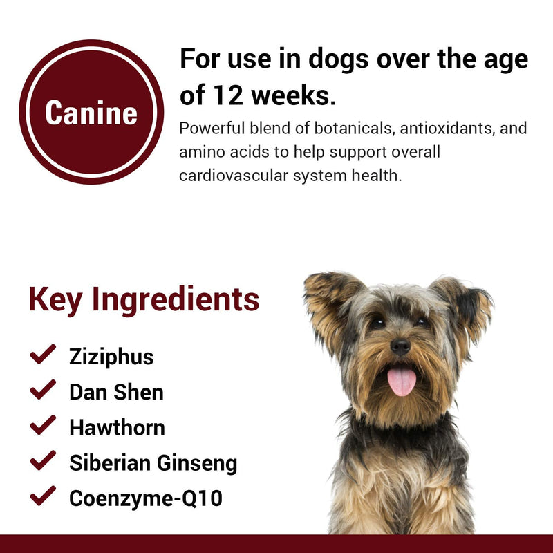 Vet Classics Cardiovascular Support Coenzyme Q-10 Dog Supplements – Pet Health Supplement for Dogs – Supports Dog Cardiovascular System – Includes Siberian Ginseng, Hawthorn – Chewable Tablets 120 Ct.
