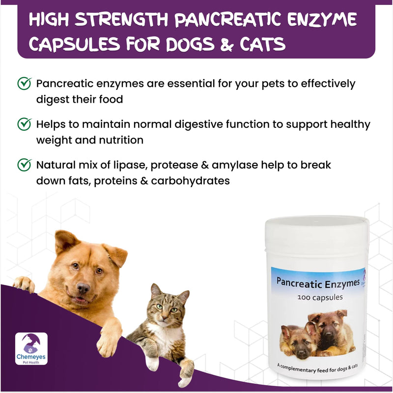 High Strength Pancreatic Enzyme Capsule for Dogs & Cats by Chemeyes - Digestive Enzyme Supplement with Amylase, Protease & Lipase - Pancreatin Supports Normal Digestion & Healthy Weight - 100 Capsules