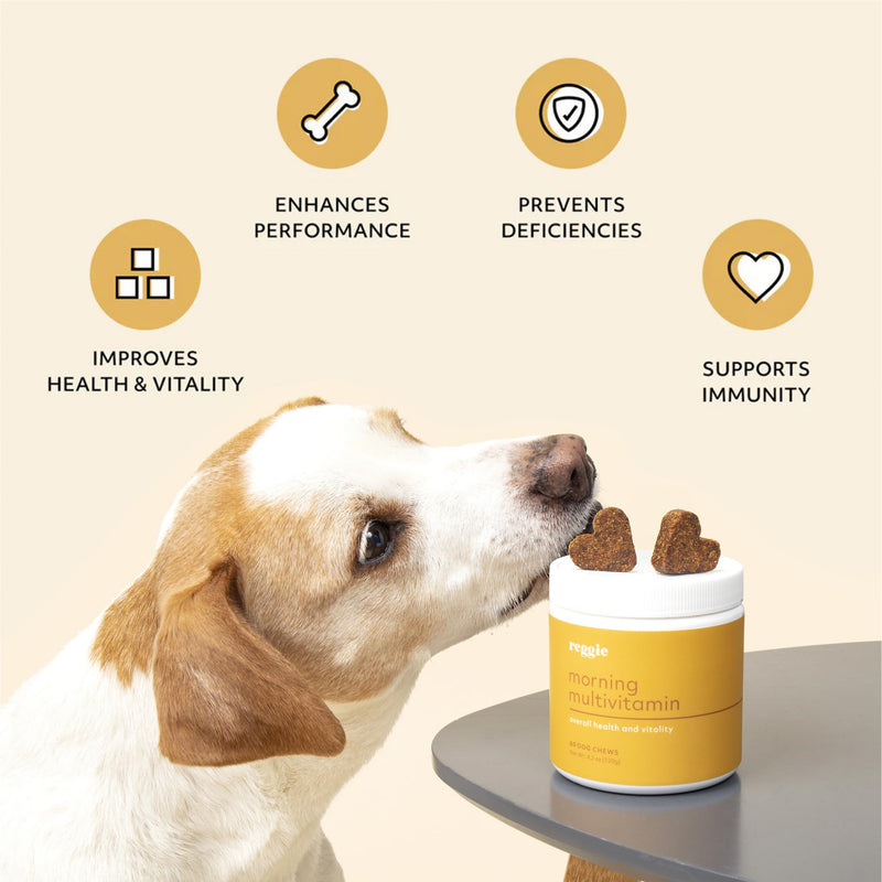Reggie Morning Multivitamins for Dogs | Advanced Daily Immunity Booster for Heart, Joint, Skin, and Gut Health | Made in The USA, Vet-Approved, & Ideal for All Ages, Breeds, and Sizes - 60 Soft Chews - PawsPlanet Australia
