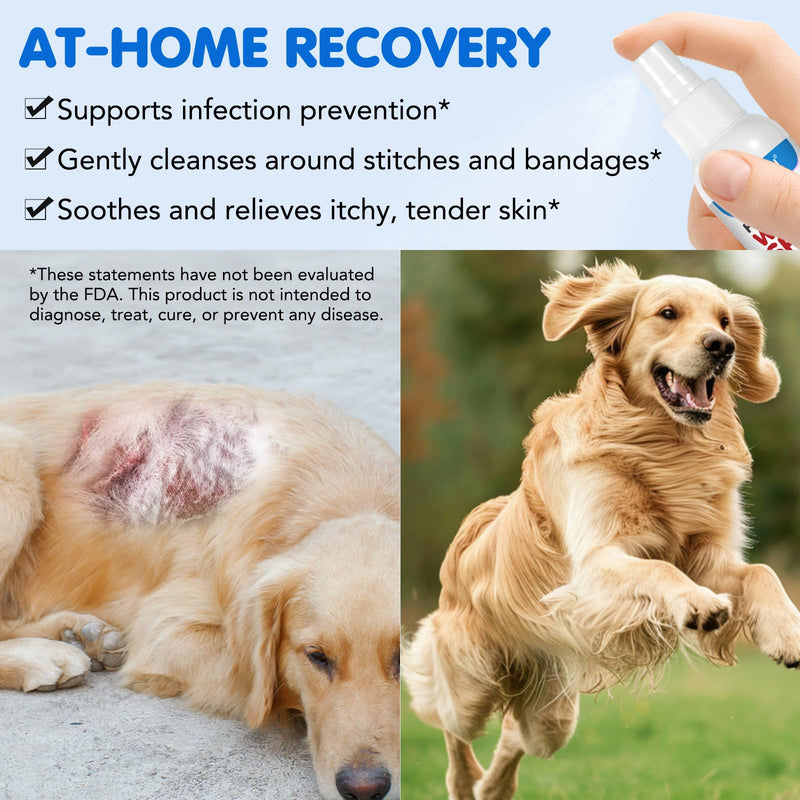 Hot Spot Care Spray for Dogs & Cats-Soothing Itch Relief for Skin Irritation,with Natural Tea Tree Oil & Aloe Vera