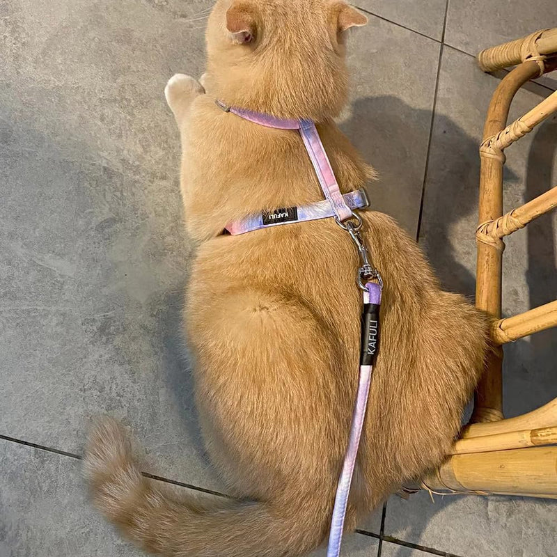 Cat Harness with Leash Escape-Proof Cat Harness Leash Adjustable Cat Leash with Harness for Small Medium Cats Outdoor Walking, Gradient Purple - BeesActive Australia