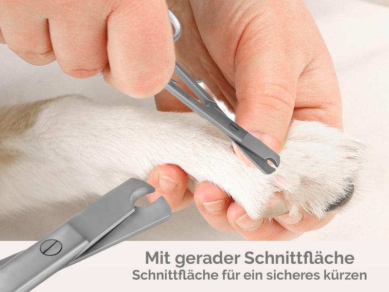 Claw scissors Straight claw pliers Ideal for beginners Claw cutter 9.5 cm - Nail scissors - Shortening claws on cats, small dogs or small animals - Stainless steel - Brand quality - BeesActive Australia