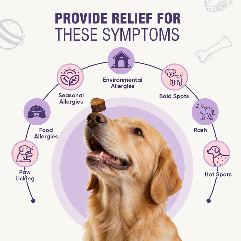 Dog Allergy Chews 200ct - Dog Allergy and Itching Skin Relief Anti Itch Aller Immune Bites for Dogs licking Paws Treatment Relief Itchy Chew Probiotics Vitamins for Skin and Coat Allergies - Chicken 2 g/capsule 200pcs