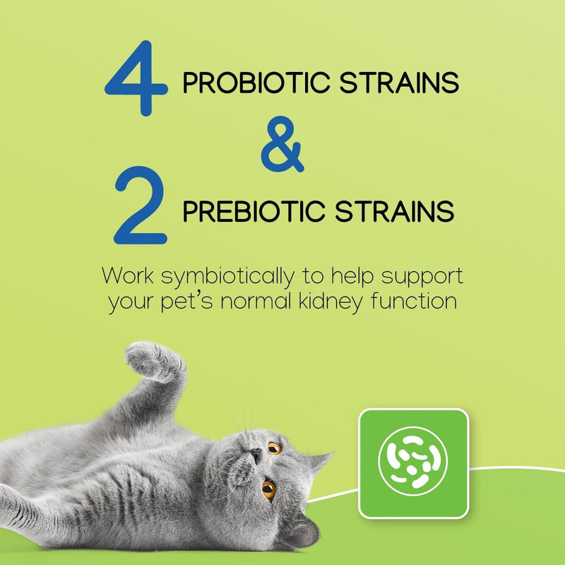 Virbac NEPHRODYL® Synbiotic Capsules - Kidney Support Supplement for Cats & Dogs, Probiotics & Prebiotics for Digestive Health, Small & Easy-to-Swallow Capsules, Made in The USA
