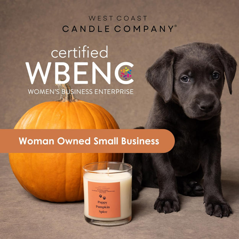 Pet Friendly Wax Melts | Pet Safe Wax Melts | All Natural Dog Safe Wax Melts | Non-Toxic Wax Melts | Pet Odor Eliminator | Pure Soy Wax Melts | Veterinarian Approved (Cider & Spice) Cider & Spice - BeesActive Australia