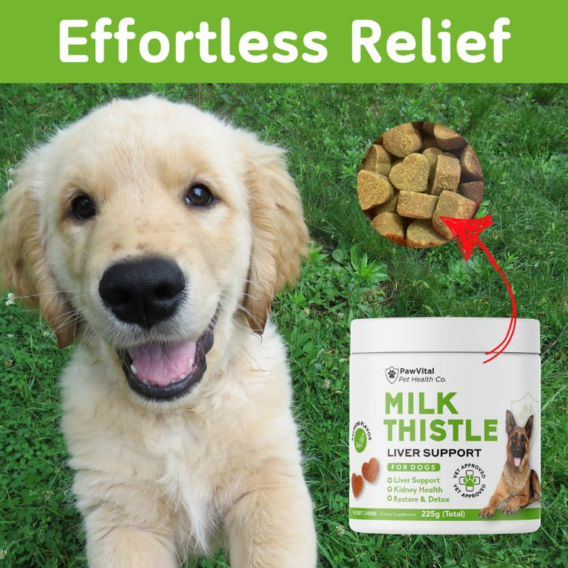 Milk Thistle for Dogs - Max Strength Liver Support Chews, Wild Alaskan Salmon Oil & Curcumin - Kidney Detox & Hepatic Support - Natural Liver Support Chews Made with Real Chicken, Choline & NAC
