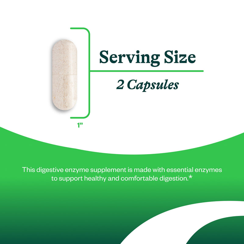 Seeking Health Digestive Enzymes- Enzymes for Protein, carbohydrates, fats, Lactose, and starches to Support Healthy Digestion- 60 Capsules