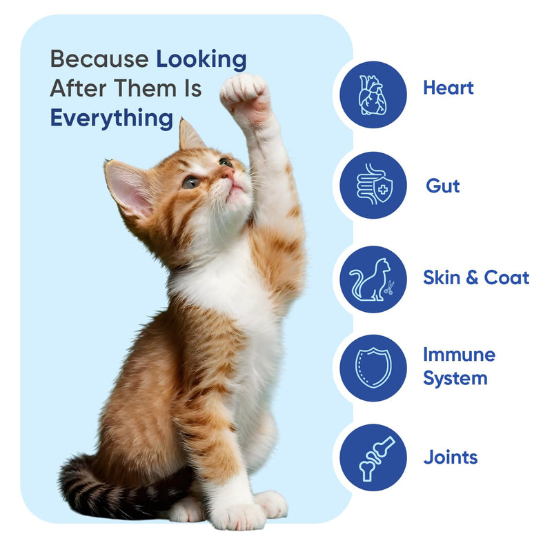animigo Multivitamins and Minerals for Cats - 120 Soft Chews - With 18 Vitamins & Minerals - Easy to Chew & Gentle Formulation - Suitable For All Breeds - Lactose-Free & Soy-Free