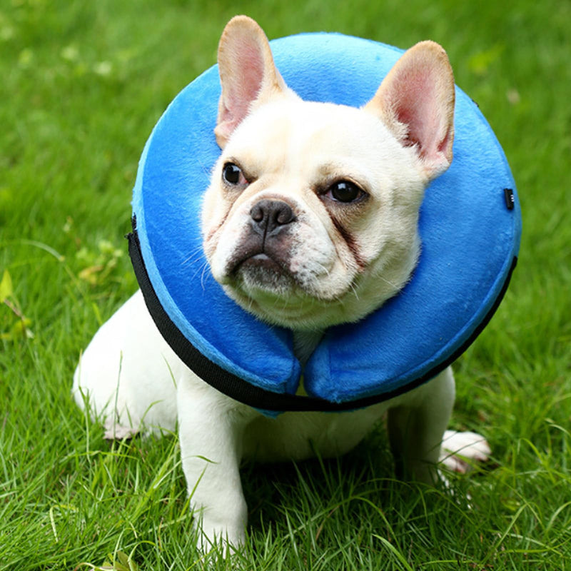 HTTDSLF Neck Brace Dog Collar, Protective Dog Collar, Dog Collar Leak Protection, Inflatable Neck Brace Dog, Neck Brace Cat Leak Protection Dog, Inflatable Neck Brace for Dogs (Blue, M) Blue - BeesActive Australia