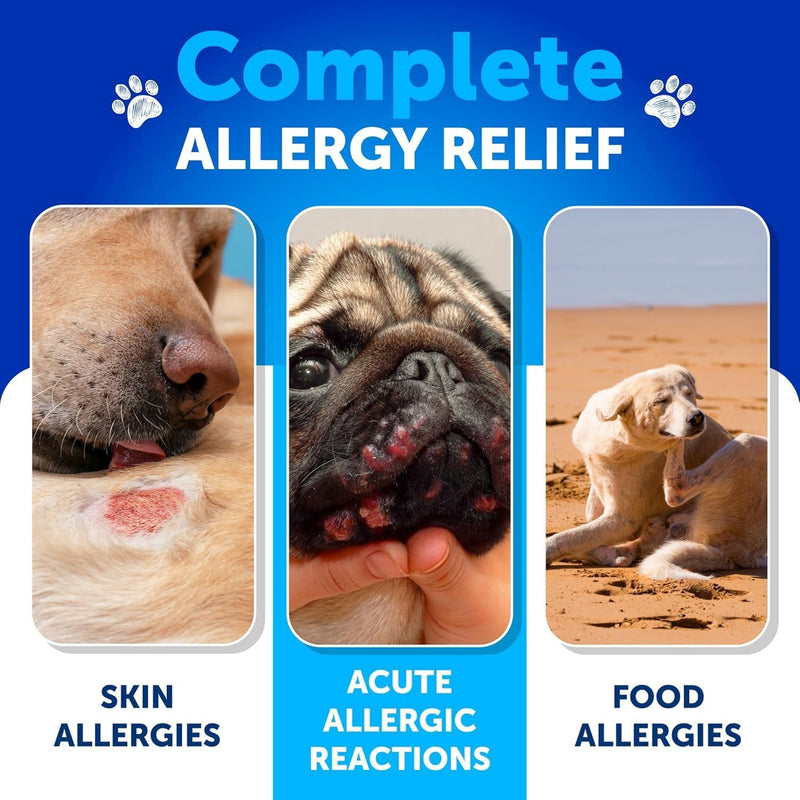 Dog Allergy Relief Chews - Itching Skin Relief for Dogs - 180 Soft Treats - Fish Oil - Omega 3 - Seasonal Allergies Pills - Skin & Coat, Anti Itch,Hot Spots Treatment - Canine Immune Health Supplement 180 Treats