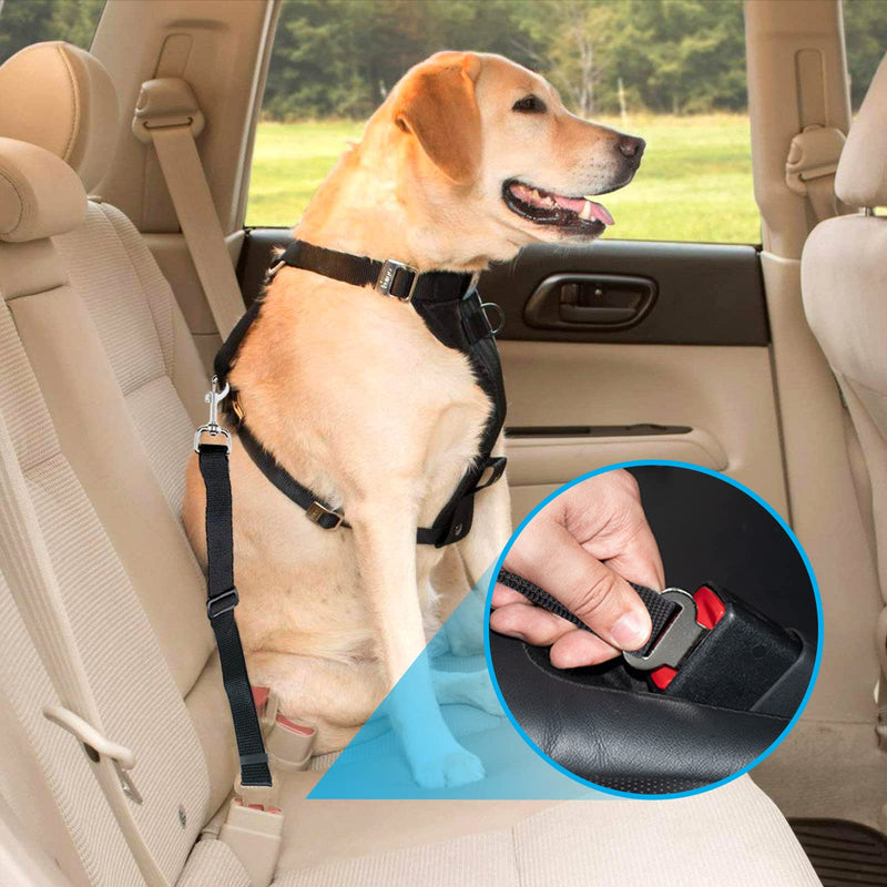 Redamancy seat belt for dog car, dog belt for car, dog seat belt for car, adjustable dog belt, maximum safety for all dog breeds and cats. 65CM - BeesActive Australia