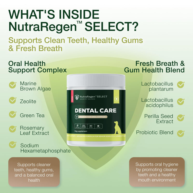 Nutraregen Select Dog Digestive Probiotic Powder and Dental Support Bundle | Pet Dental Powder & Dog Breath Freshener, 7 Bn CFU | 60 Scoops, 6.7 oz