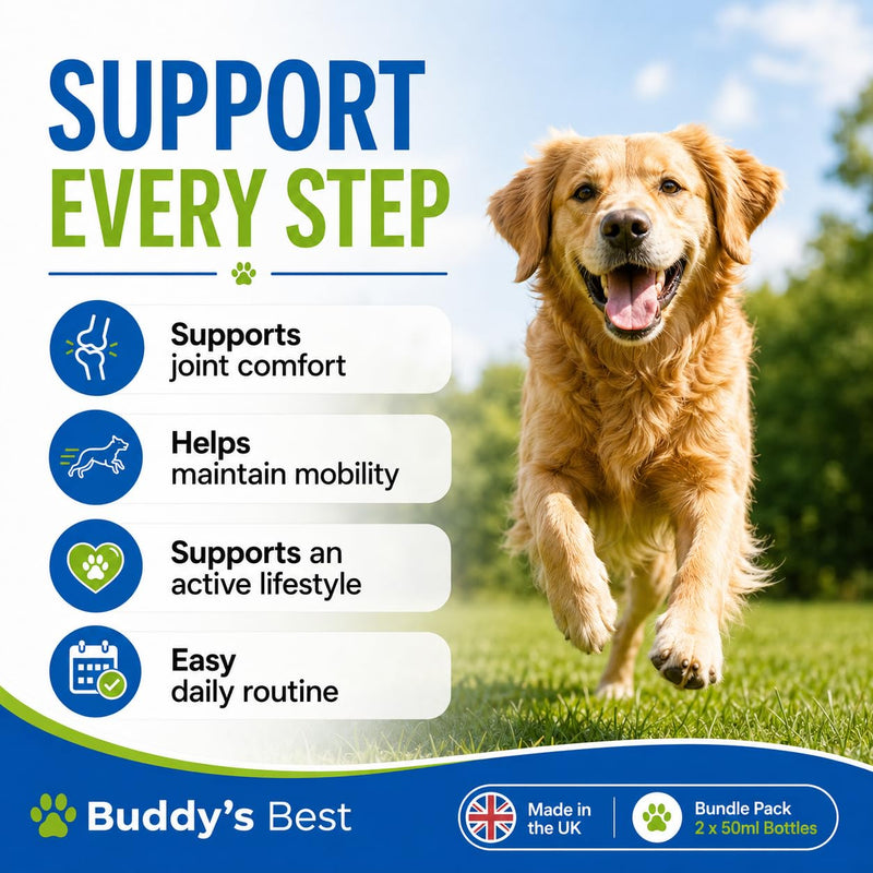 BUDDY'S BEST Twin Pack Dog Joint Support Plus | 50ml | Supports Healthy Joints & Mobility in Dogs | Natural Ingredients for Daily Wellness | Easy to Use | Made in the UK Pack of 2
