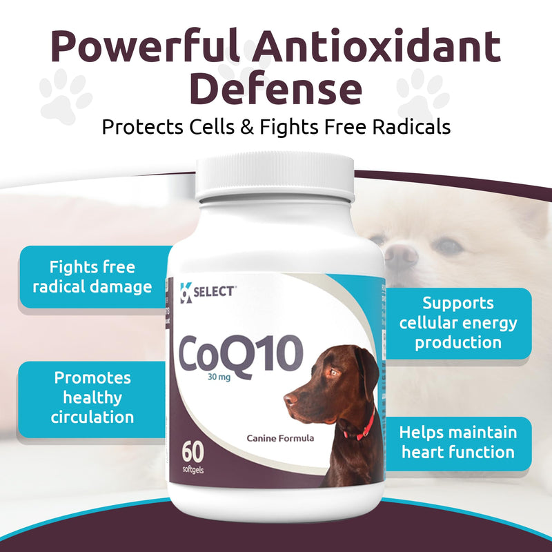 K9 Select CoQ10 Supplement for Dogs, 30mg - 60 Soft Gels per Bottle - Pet Supplement, Nutritional Softgels for Canine Heart Health, Cardiovascular & Gum Health, Energy - PawsPlanet Australia