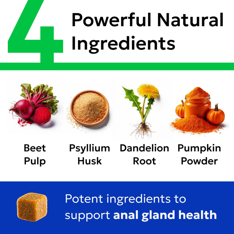BARK&Spark Gland Guard - Anal Gland Support - Scoot Treatment - Prebiotics & Digestive Enzymes Supplement for Dogs Digestion & Gut Health. Proprietary Blend: Beet, Psyllium, Dandelion & Pumpkin 120Ct Bacon - PawsPlanet Australia
