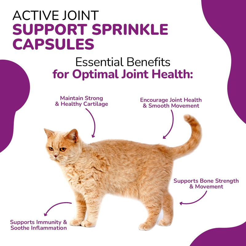 FLEXIPAWS –Joint Supplement for Adult Cats, with Glucosamine, Chondroitin, Green Lipped Mussel for Senior Cat Hip and Joint Care | 60 Sprinkle Capsules