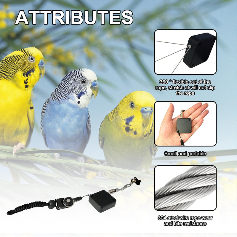Bird Leash,Bird Harness,Retractable Anti-Bite Parrot Harness,with 3 Different Sizes of Soft Foot Ring,for Birds Outdoor Flight Training,for Budgies,Cockatiels,Psittacula Longicauda,Mini Macaws,6.5Ft - BeesActive Australia