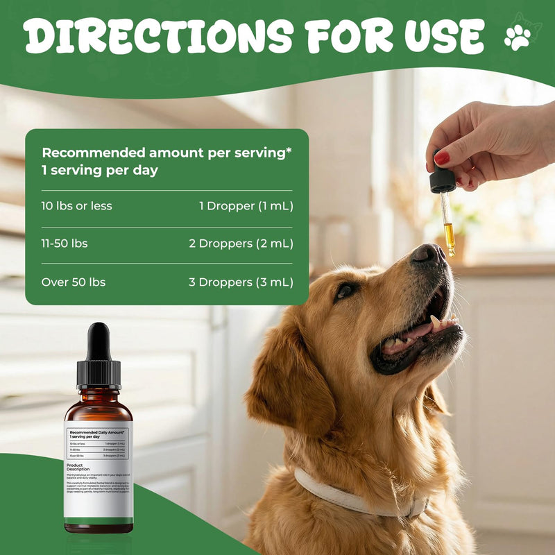 Thyroid Support for Dogs, Herbal Appetite Stimulant & Metabolism Support Drops with Bladderwrack, Astragalus & Nettle Leaf, Helps Maintain Healthy Weight, Energy & Daily Vitality, 2 fl oz
