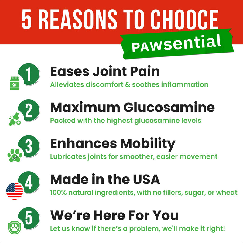 Hemp Treats - Dog Joint Supplement - Mobility Support Chews w/Glucosamine Chondroitin, Turmeric, MSM - Hip & Joint Chews - Joint Pain Relief Treats - 120Ct 120 Count Hemp Hip & Joint