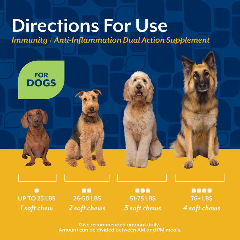 NaturVet Immunity + Anti-Inflammation Dual Action Supplements for Dogs, Helps Support Immune Response & Joint Comfort with Turmeric, Tart Cherry, Vitamin C, D, & Zinc, 60 Hickory Bacon Soft Chews