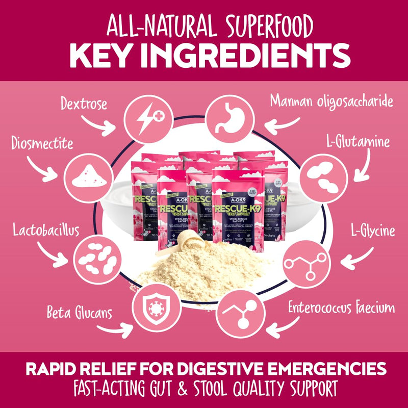 Dog Probiotics for Gut Health – Digestive Support Supplement Powder 10 Sachets – Prebiotics for Diarrhea Treatment, Gut Balance & Firm Stools – Dog Tummy Settler All Breeds - Made in UK