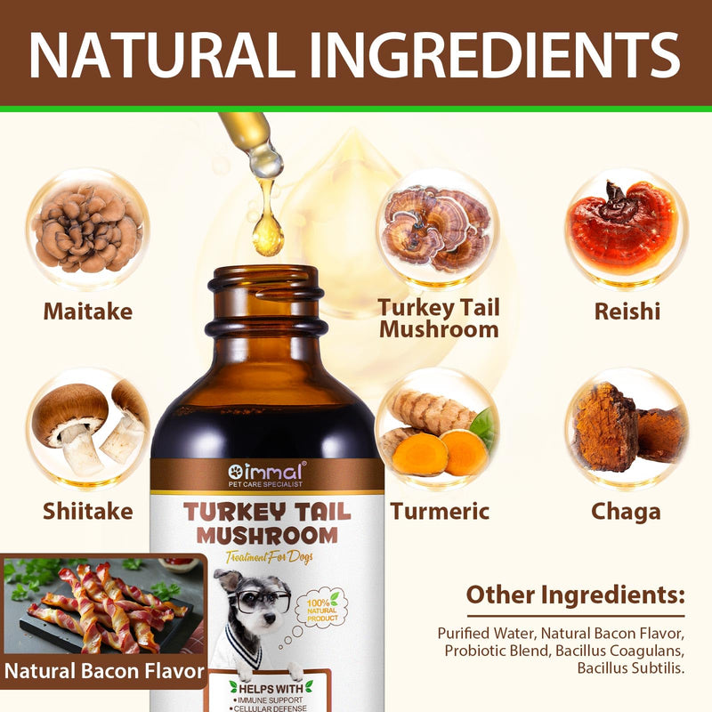 Turkey Tail Mushroom Supplement for Dogs - Liquid Formula with Probiotics & Turmeric, Supports Immune System, Digestive Health, and Joint Flexibility - Delicious Bacon Flavor (120ML) Pack of 1