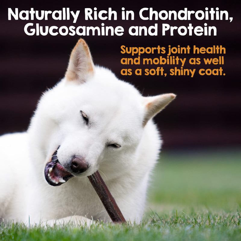 Riley's 12 Inch Beef Collagen Sticks for Dogs, Collagen Chews for Dogs, Bully Stick & Rawhide Alternative, Long Lasting, No Raw Hide Chews, Single Ingredient Dog Treat- 10 ct 12" Sticks, 10 Count