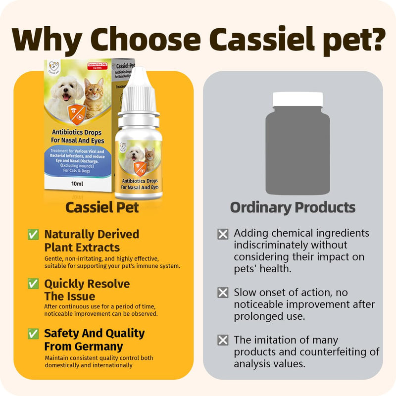 Nasal & Eye Drops for Immune Support, Sneezing, Cold, Allergy Relief, Runny Nose, Feline Respiratory Treatment and Watery Eyes for Cats and Dogs 0.33 Fl Oz (1 Bottle) 1 Bottle