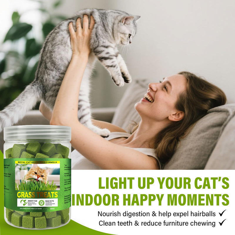 AiRunTech 120g Cat Grass Treats, Cat Grass for Indoor Cats, Fun Daily Snack for Interaction, Pet-Safe Wheatgrass Kit 1 Count (Pack of 1)