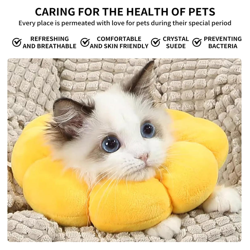 Leak protection cat, neck brace cat, neck collar, cats, neck collar for cats, soft, collar, protective collar, cat collar, collar, sunflower, adjustable, neck brace cat after surgery and injuries - BeesActive Australia