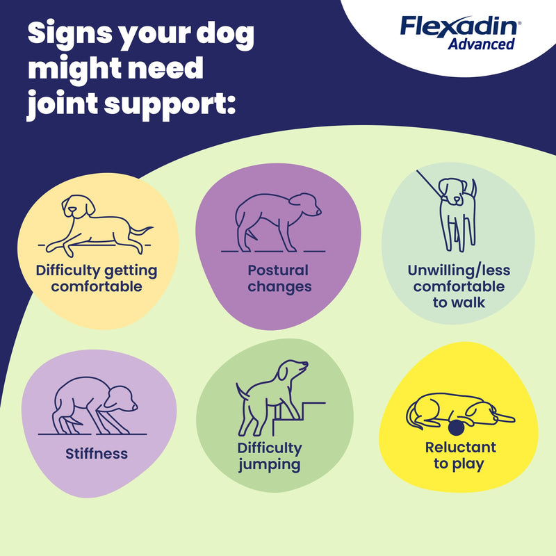 Flexadin Advanced Joint Care Supplement for Dogs containing Undenatured Type II Collagen, Boswellia serrata, Omega 3 & Vitamin E/Promotes joint health, mobility & flexibility | 60 chews