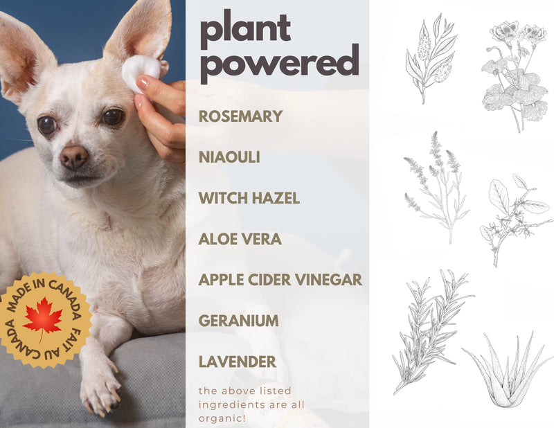 Natural Dog Ear Cleaner Solution - Dog Itchy Ears Treatment - Eliminates Odor & Waxy Buildup - Gentle Dog Ear Wash Formula - Made in Canda by Black Sheep Organics (4 fl oz) - PawsPlanet Australia