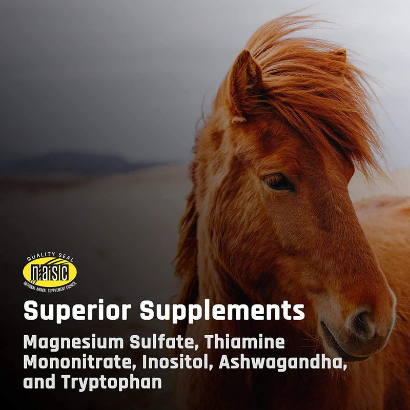 Majesty's KALM+ Wafers- Horse/Equine Balanced Behavior and Normal Nervous System Function Support Supplement - 30 Count (1 Month Supply) Apple