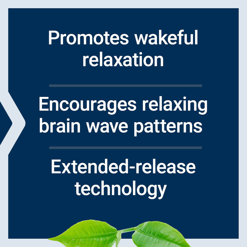 Life Extension Theanine XR™ Stress Relief – L-Theanine – Promotes a Calm Response to Daytime Stress-– Non-GMO,Gluten-Free,Vegetarian-– 30 Tablets,(Pack of 2) 30 Count (Pack of 2)