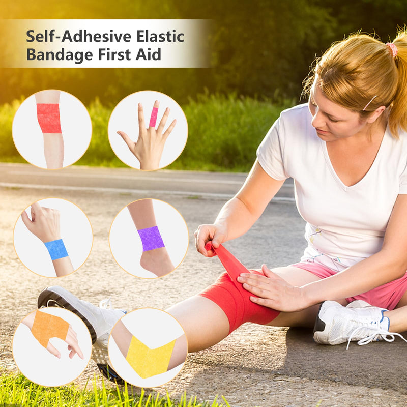 12 rolls of self-adhesive bandage, 5 cm x 5 m, self-adhesive bandage for first aid, elastic fixing bandage, cohesive bandage, adhesive bandage for dogs/cats/feet/finger plasters/ankle sprains - BeesActive Australia