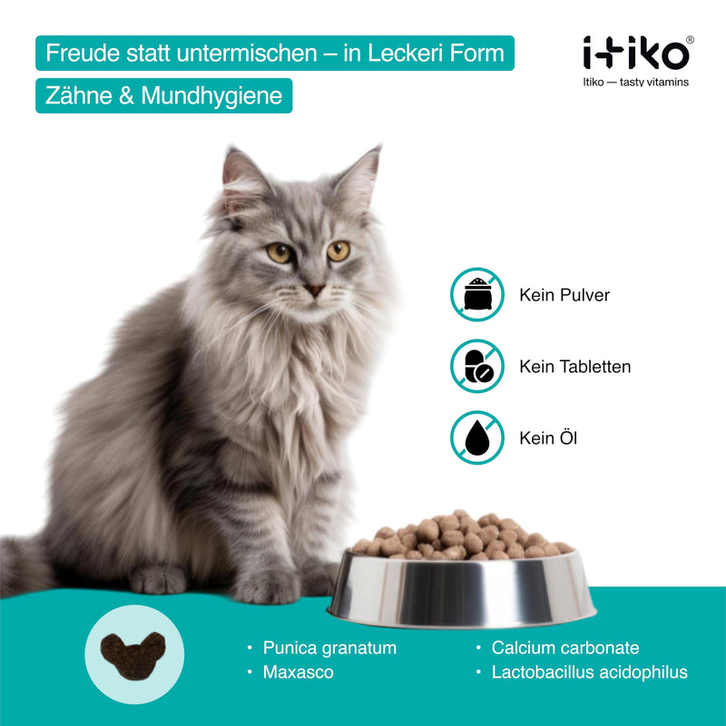 Itiko - Cat Dental Care Snacks - Natural Treats for Cats - Fight Cat Bad Breath - Alternative to Tartar Spray - BeesActive Australia